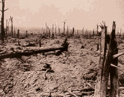 Delville Wood then