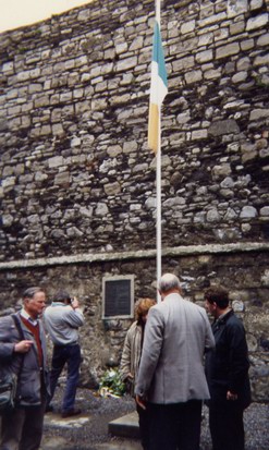 The Tricolour stands above the arguments