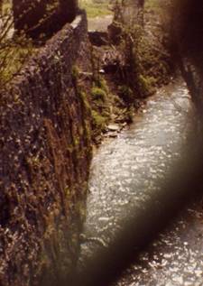 The Stream At Ourton