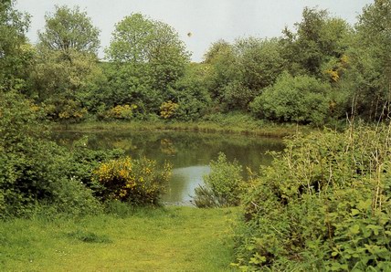 The Pool of Peace at Spanbrokmöelen 
