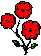 Poppies
