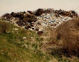 Boom Ravine, Hidden by a Rubbish Dump